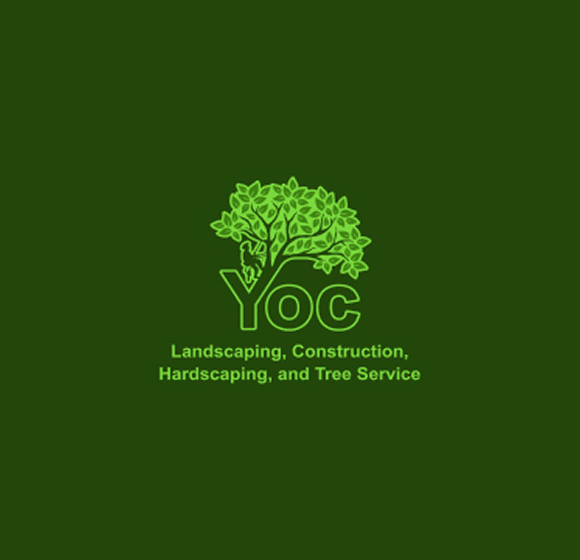 OUR SERVICES