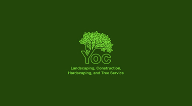 OUR SERVICES